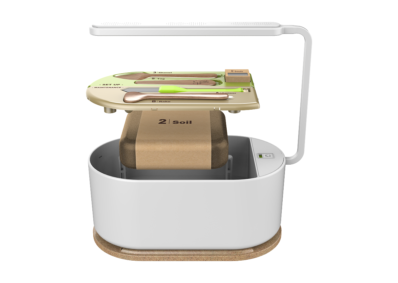 plant，intelligence，Digital，