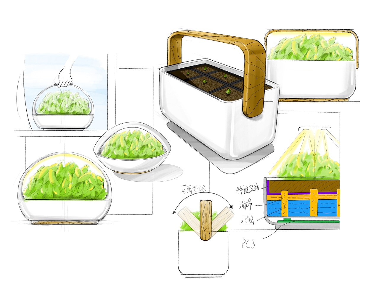 plant，intelligence，Digital，
