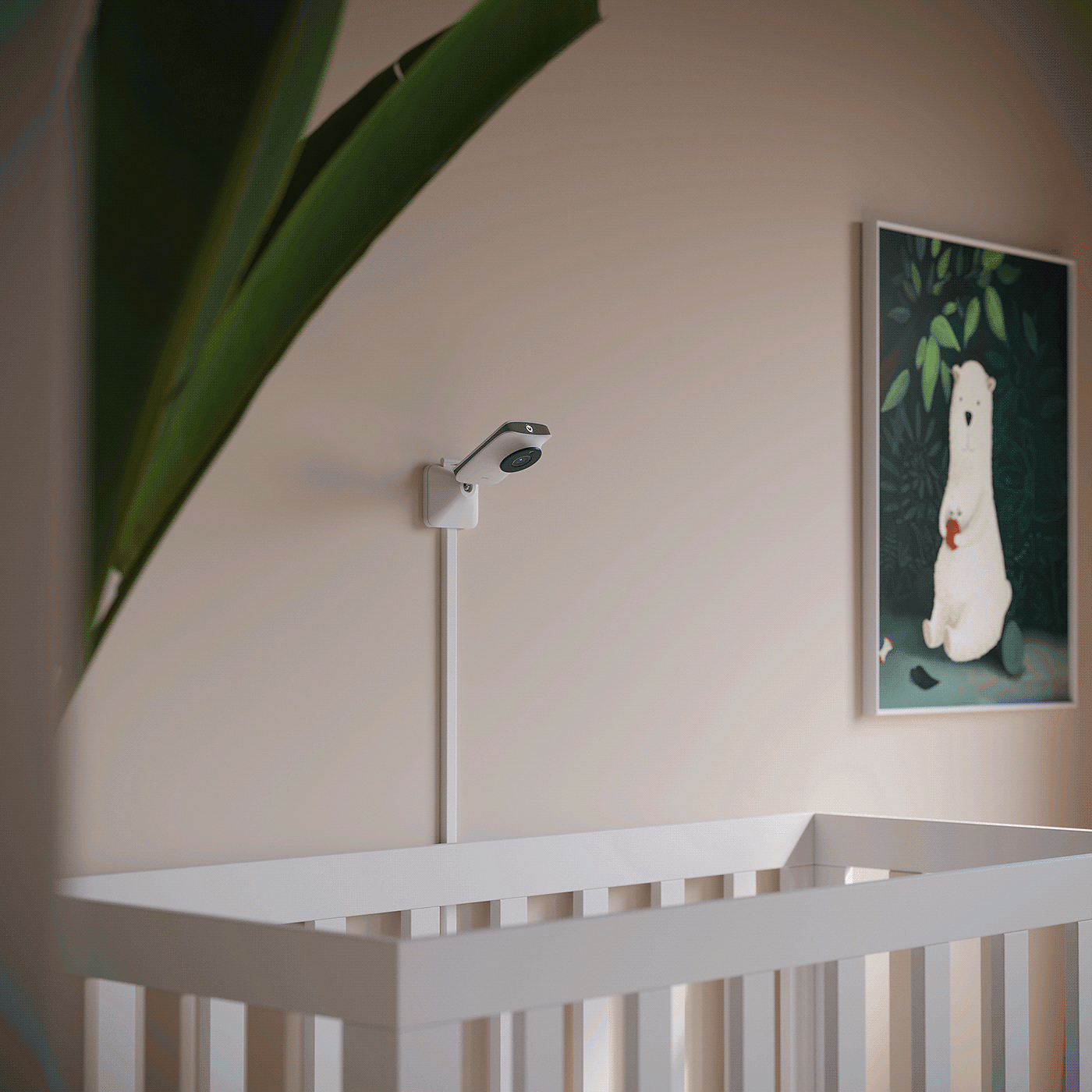 monitor，baby，3d，
