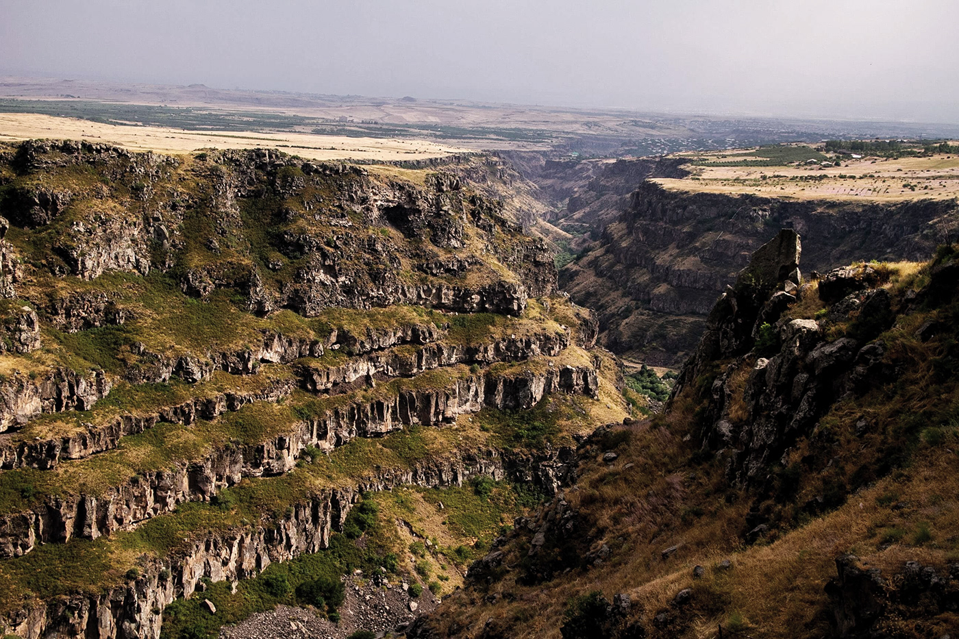 packing design，Nanar，Wine packaging，Vodka，