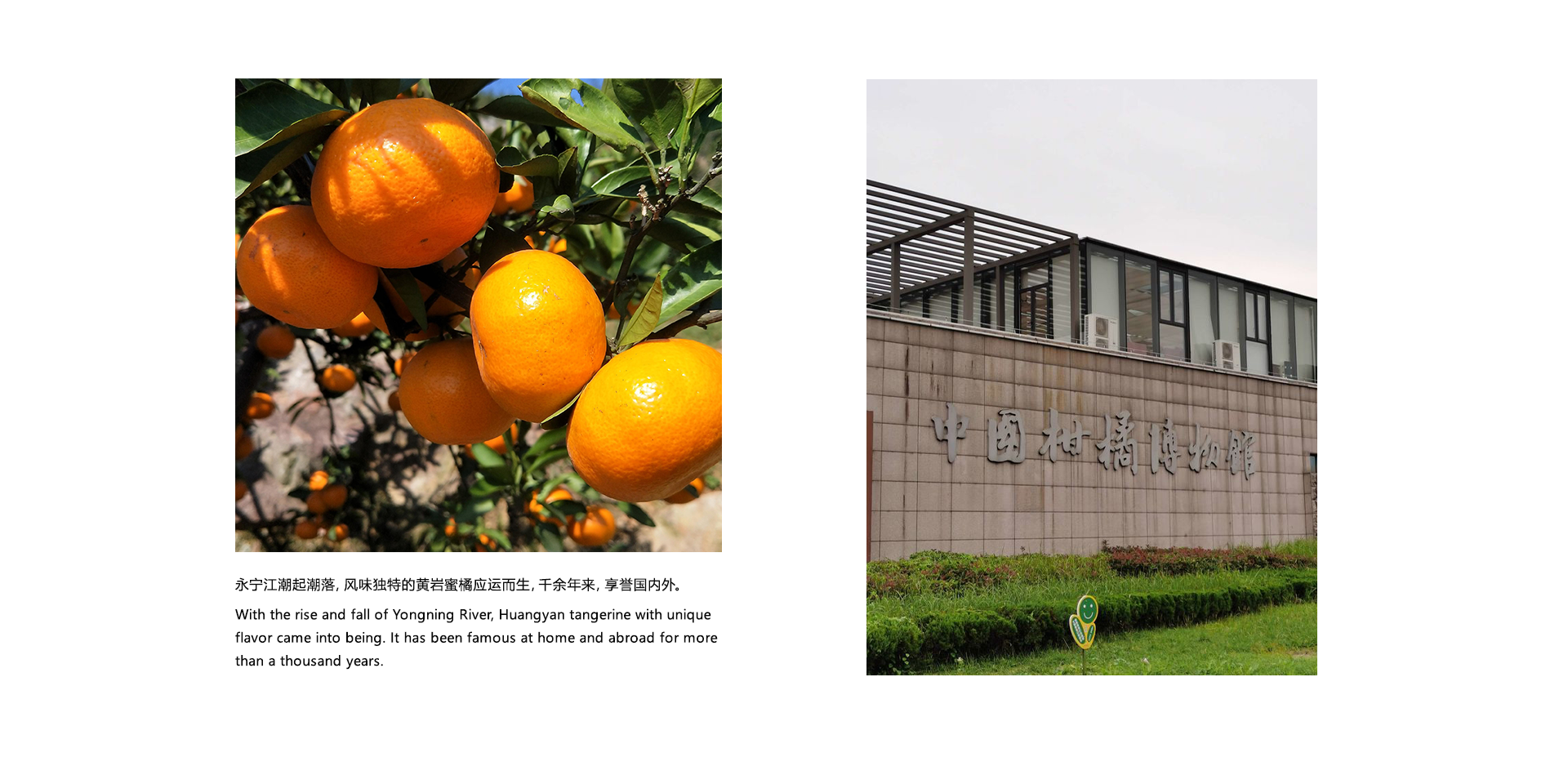 Mobile phone bracket，Cultural creation，