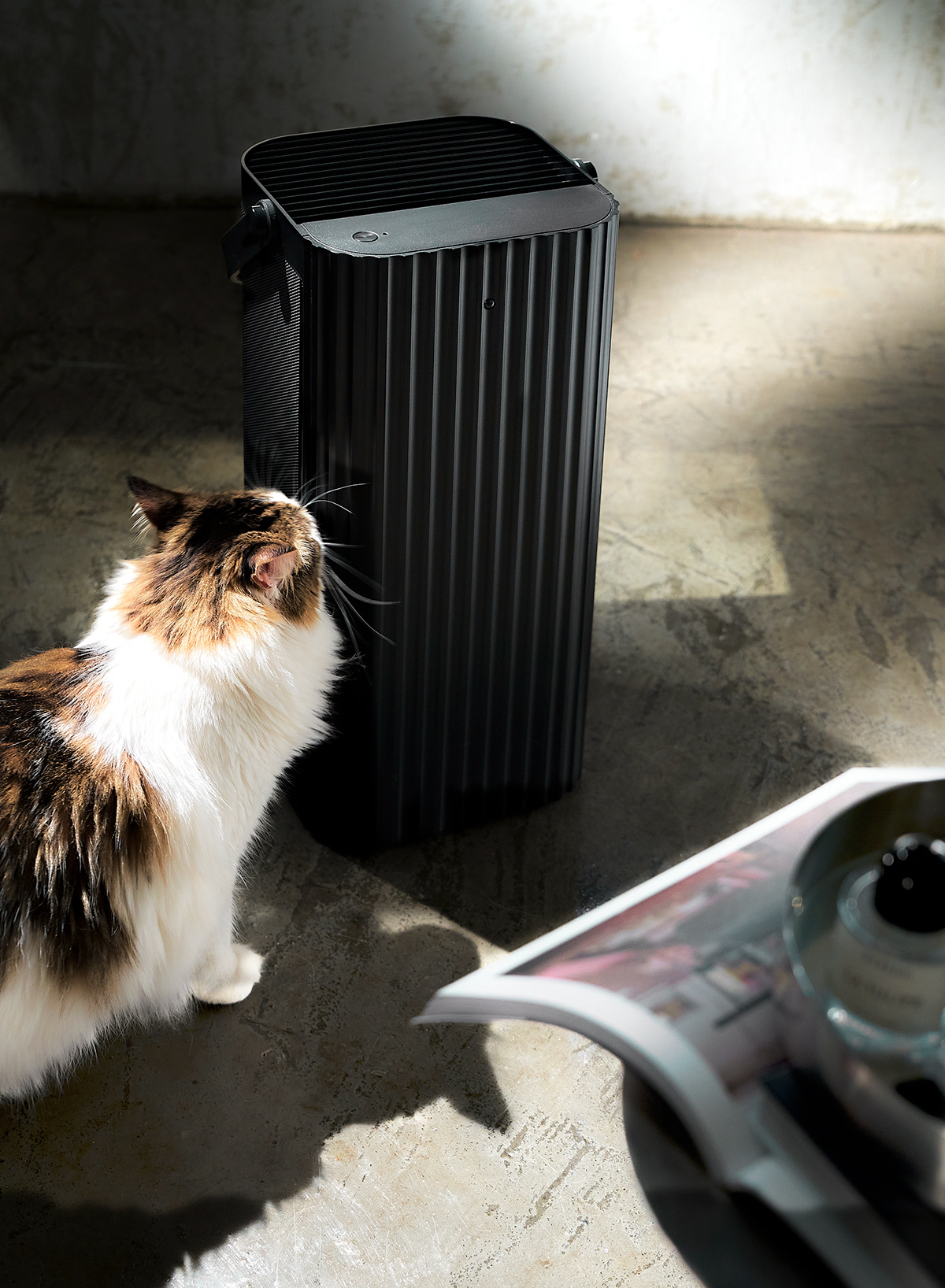 air cleaner，modern，Simplicity，