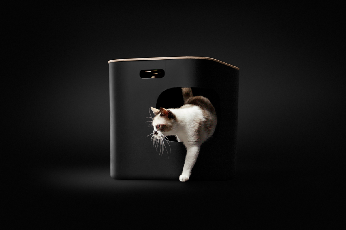 Cat Person，Litter box，Litter box，