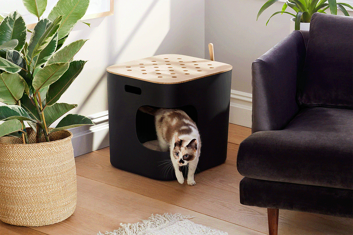 Cat Person，Litter box，Litter box，