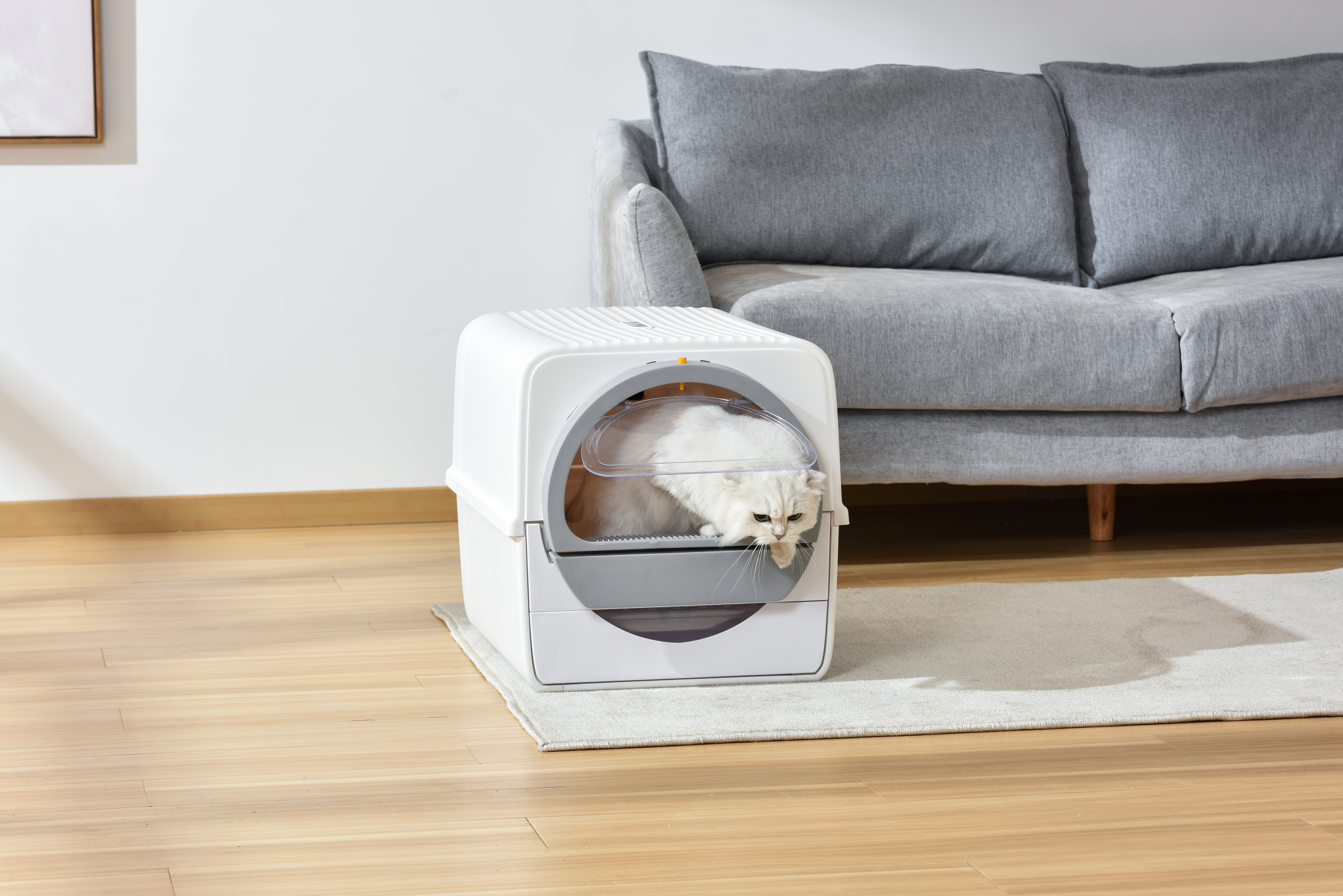 Product design, product rendering, industrial design, litter Basin，