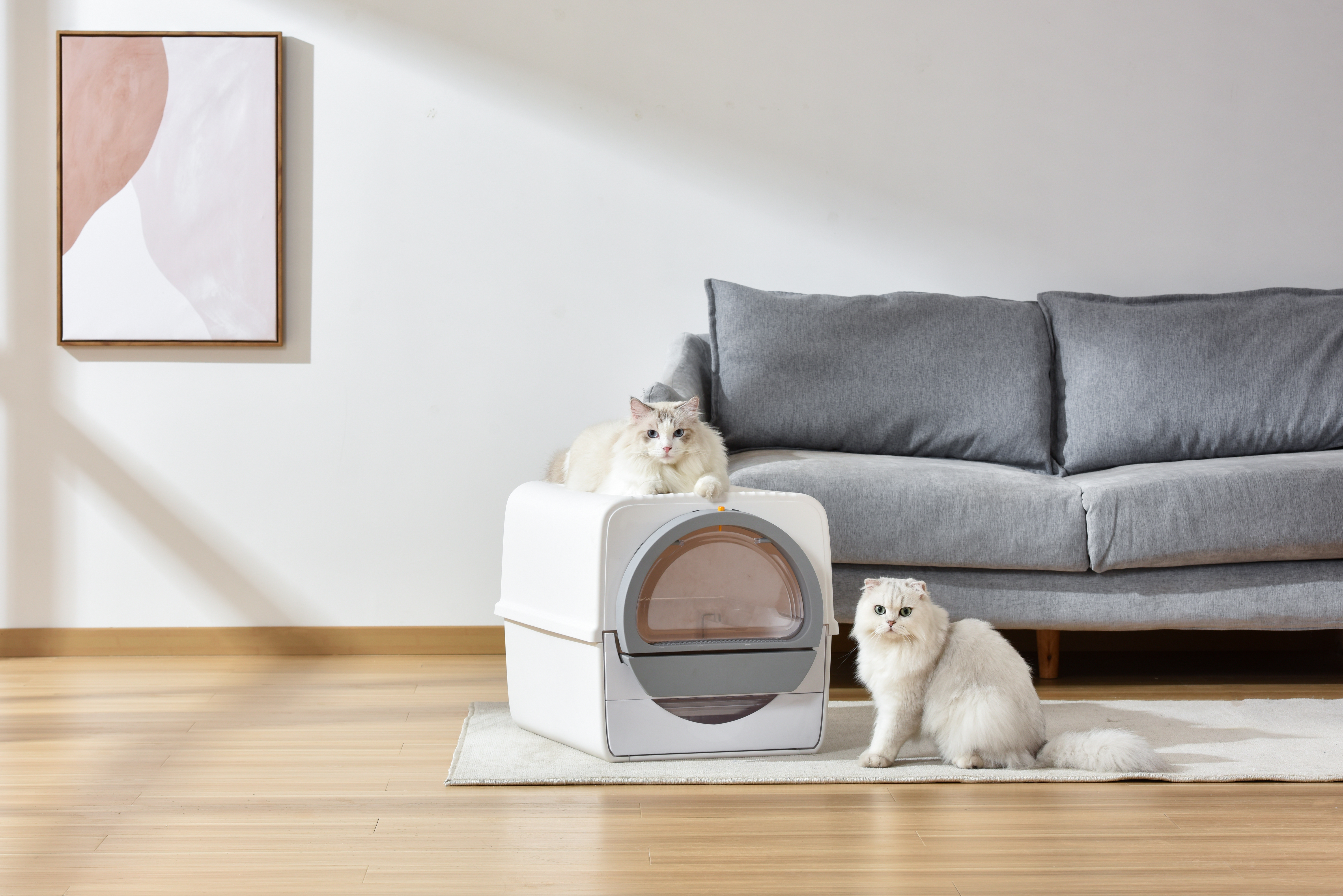 Product design, product rendering, industrial design, litter Basin，