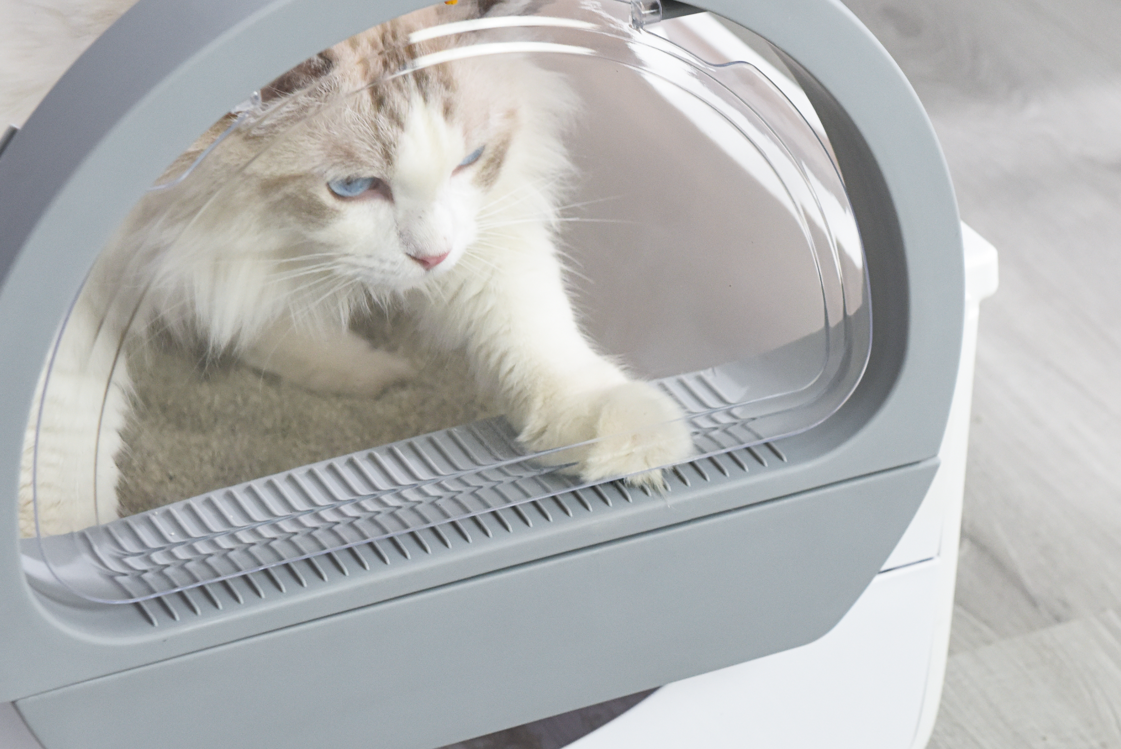 Product design, product rendering, industrial design, litter Basin，