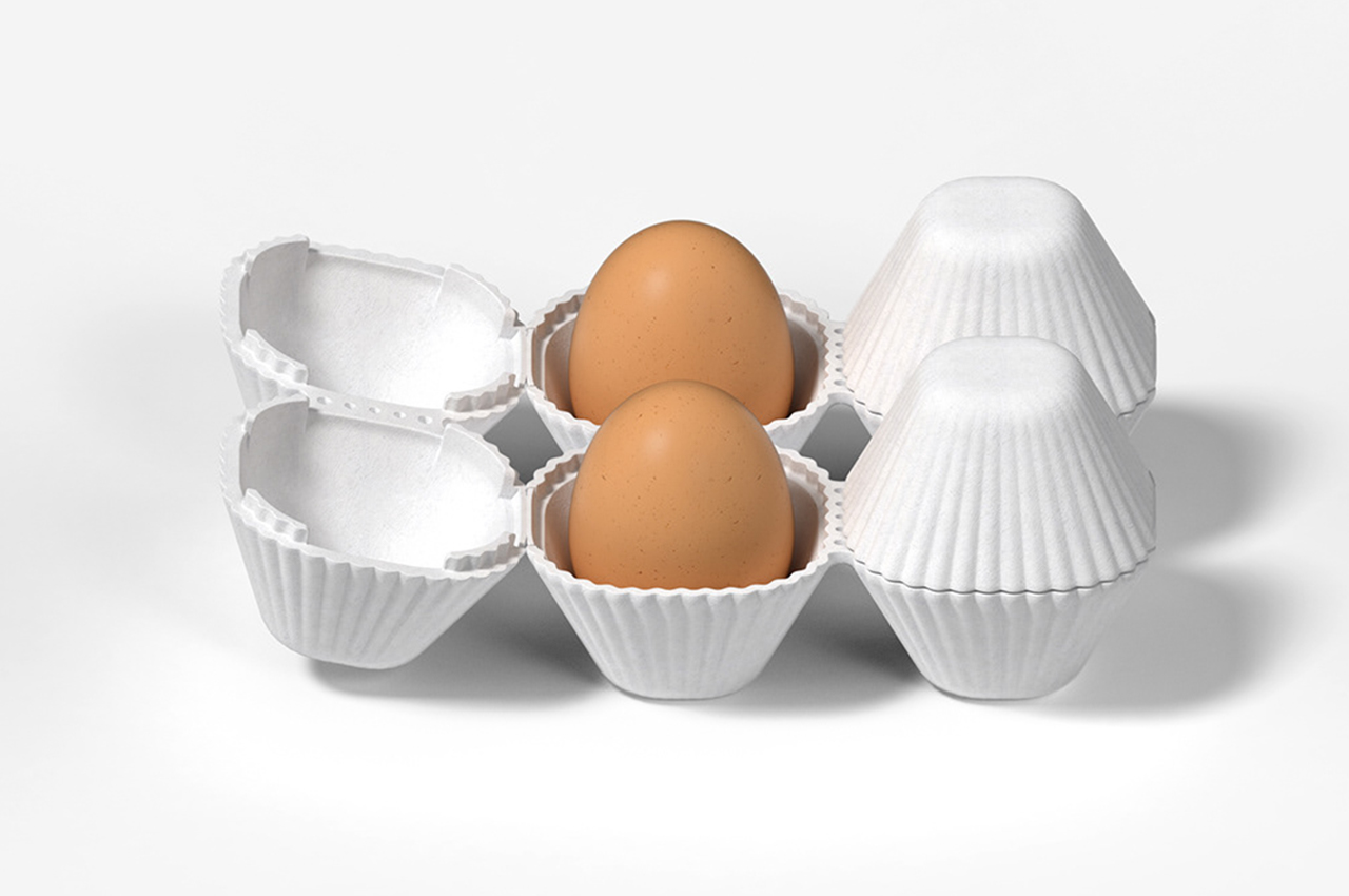 sustainable，packing design，egg，Foam paper，