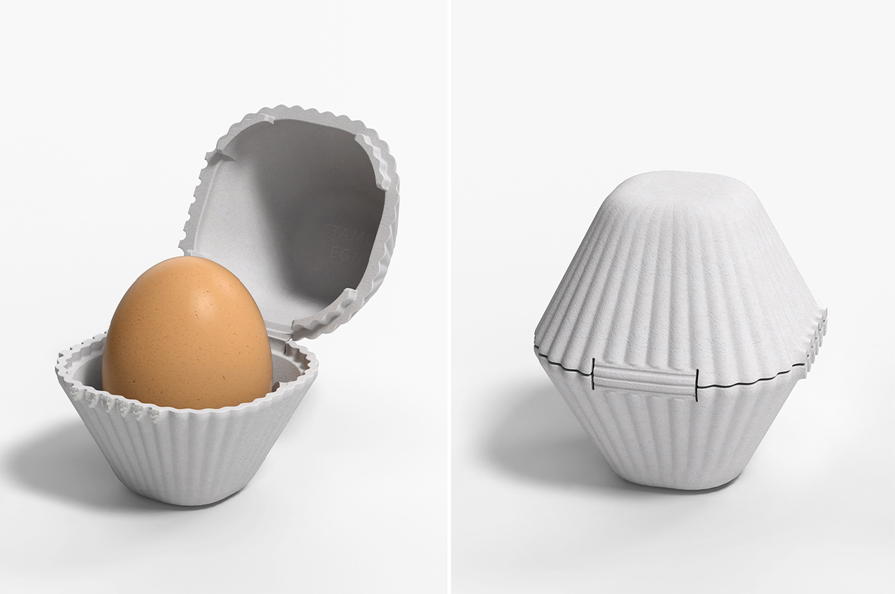 sustainable，packing design，egg，Foam paper，