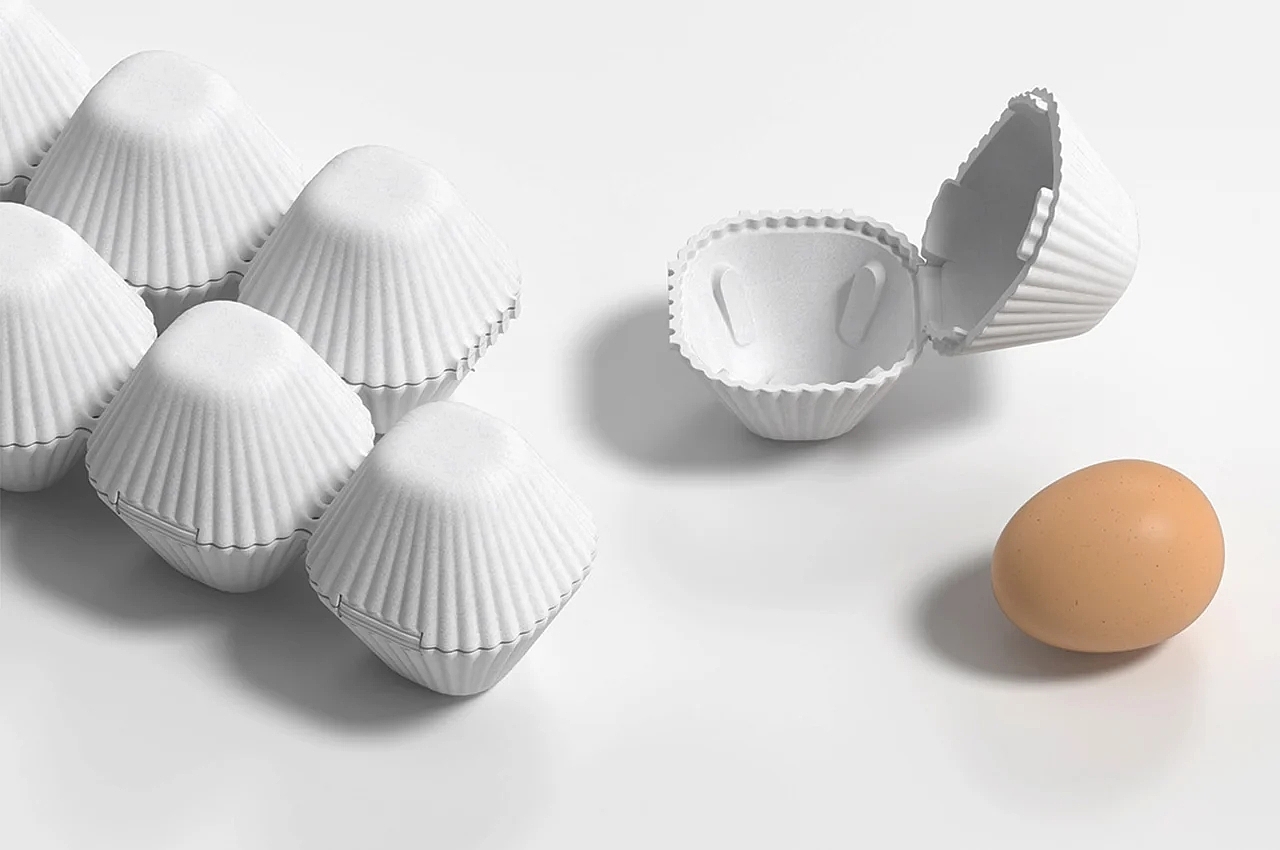 sustainable，packing design，egg，Foam paper，