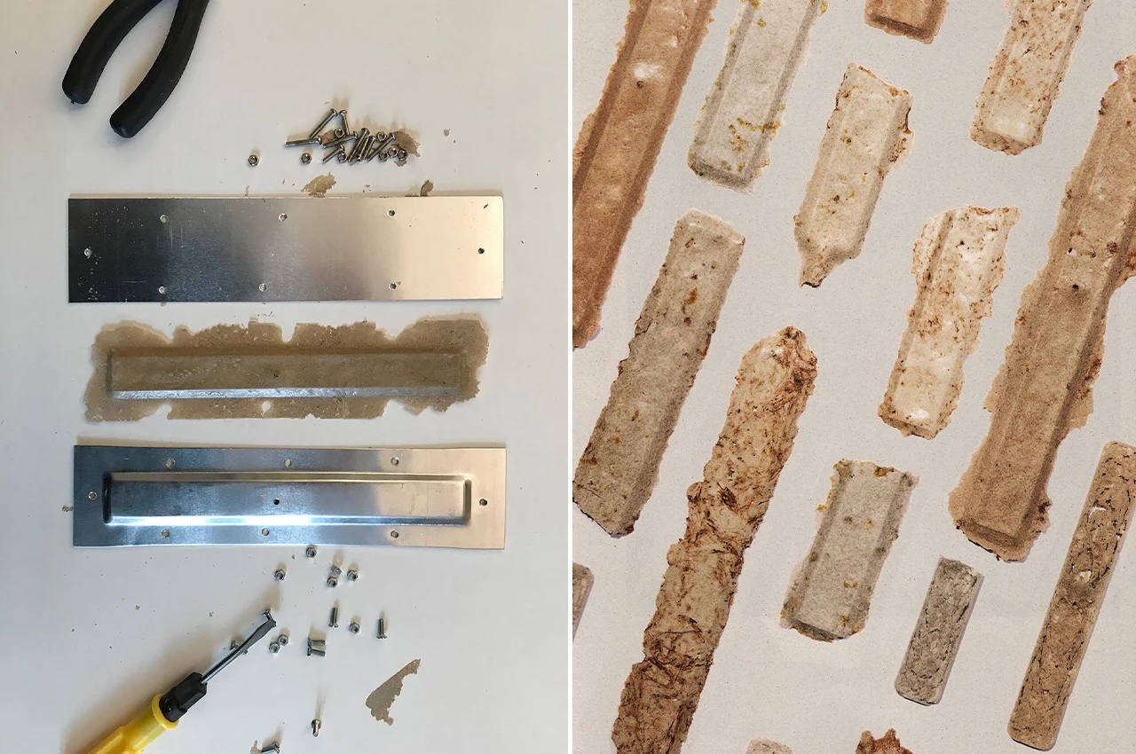 sustainable，packing design，egg，Foam paper，