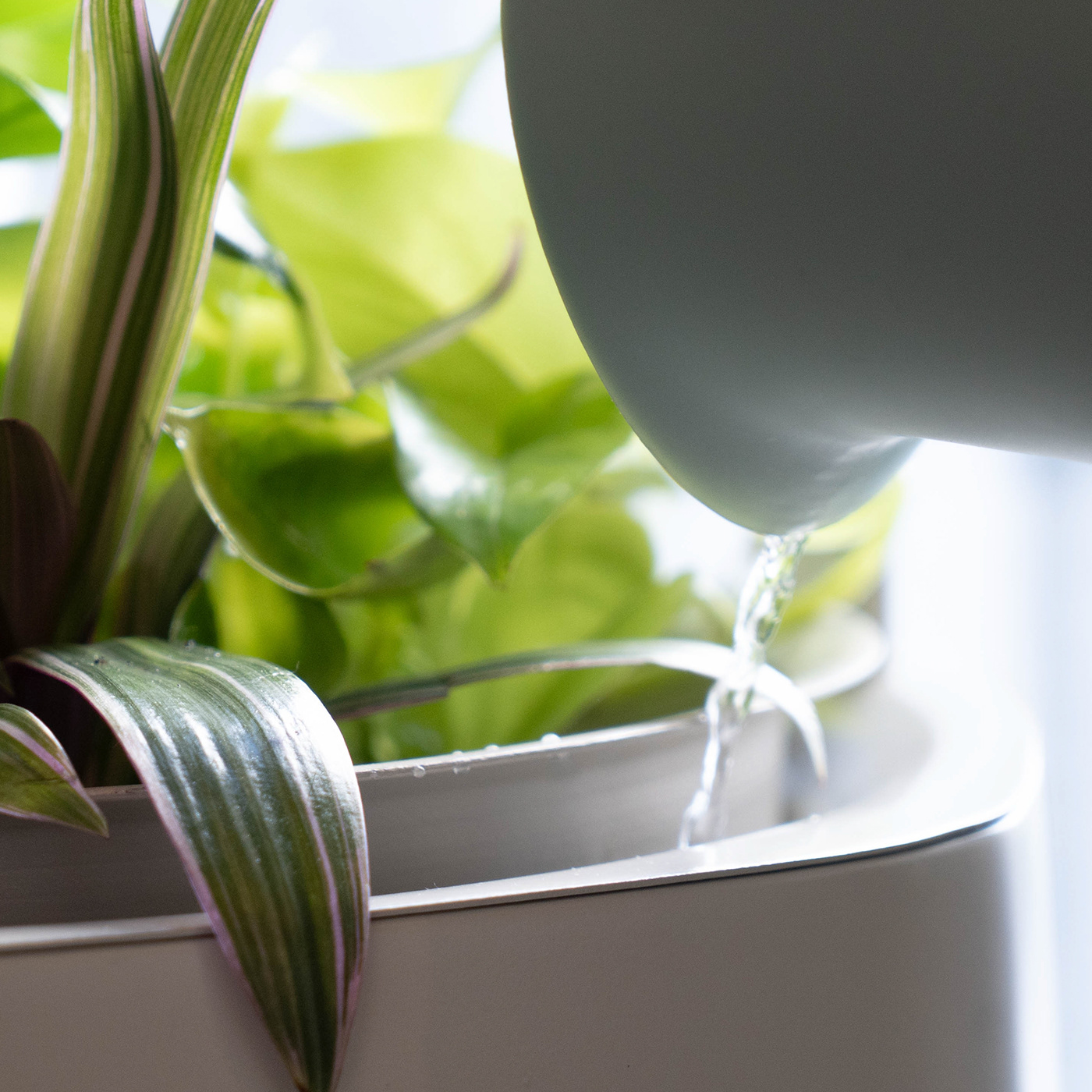 Marly Garden，Modular planting，Planters，