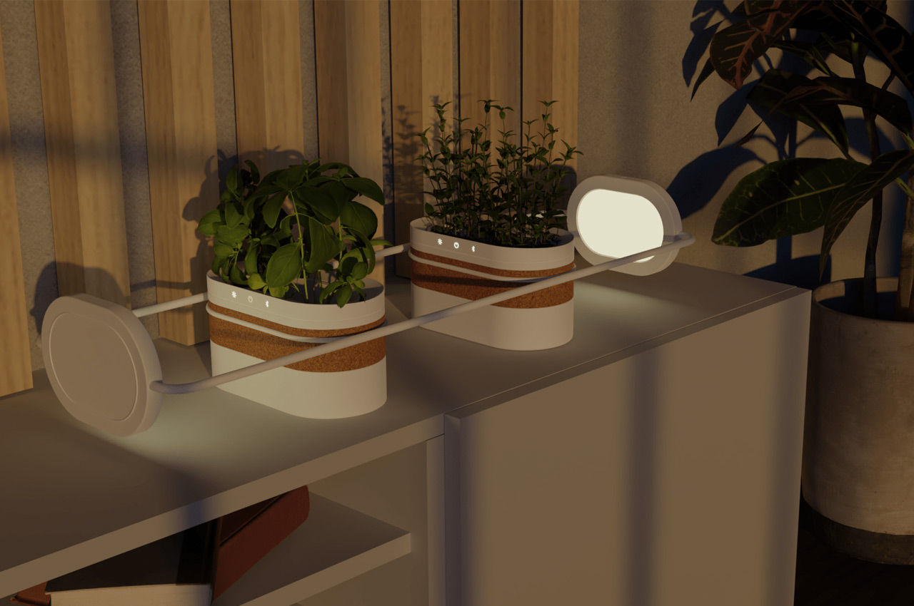 plant，Flower system，climate，sunlight，