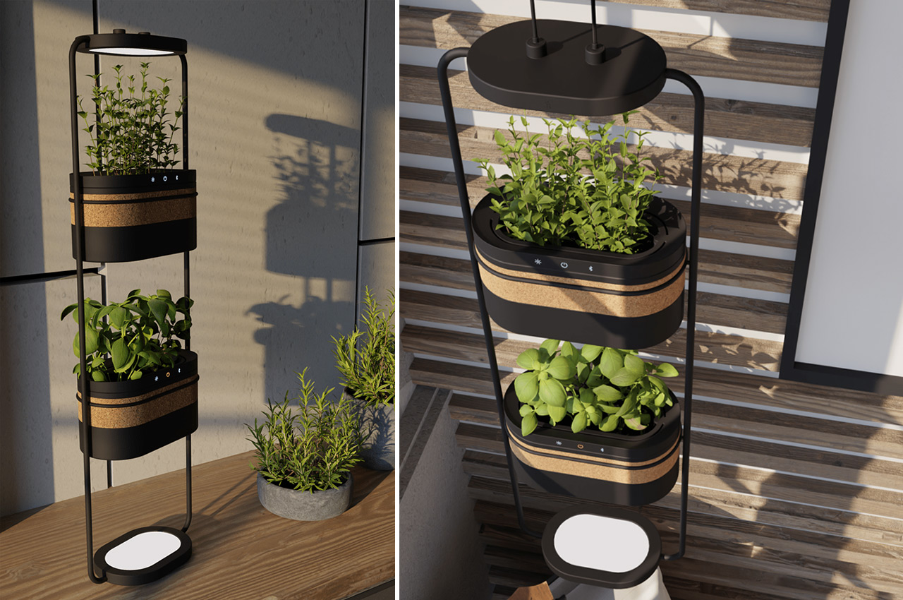 plant，Flower system，climate，sunlight，