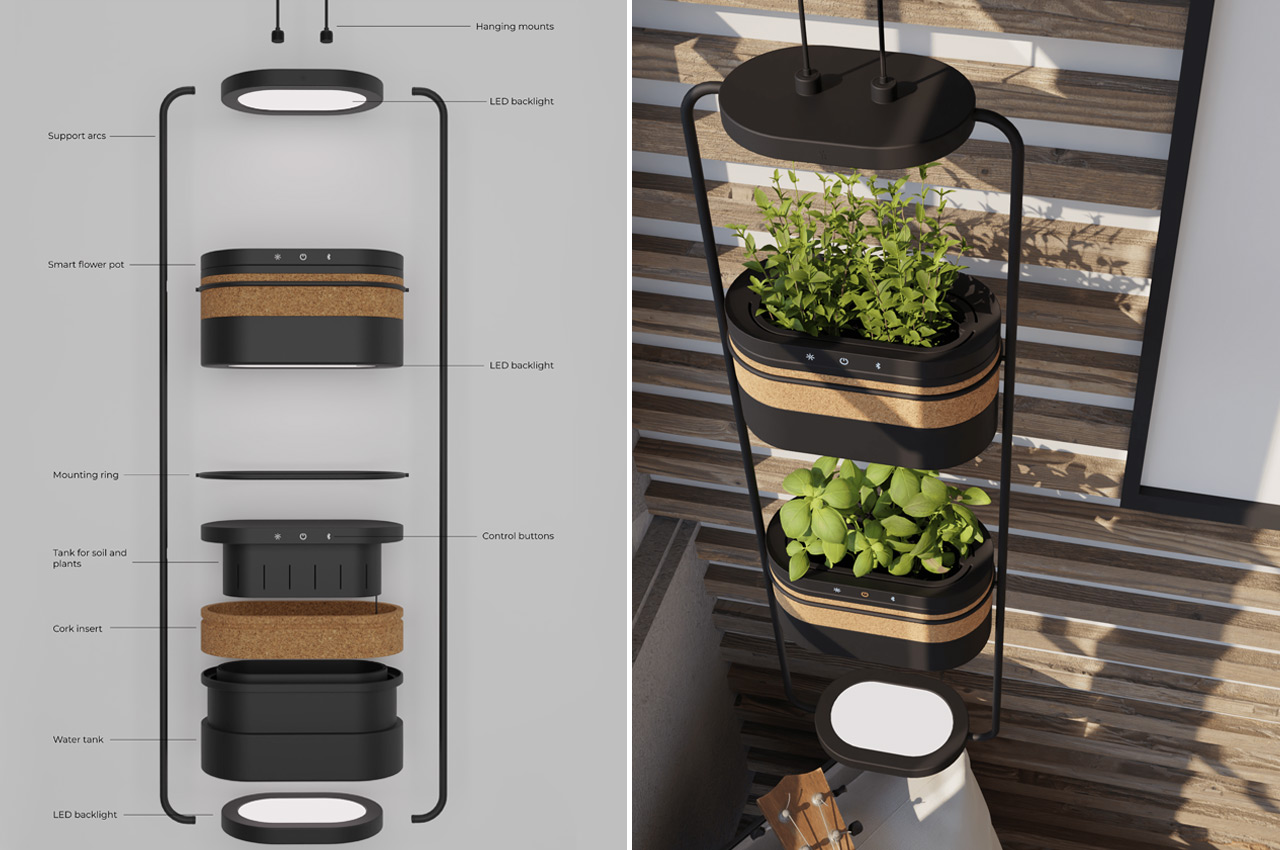 plant，Flower system，climate，sunlight，