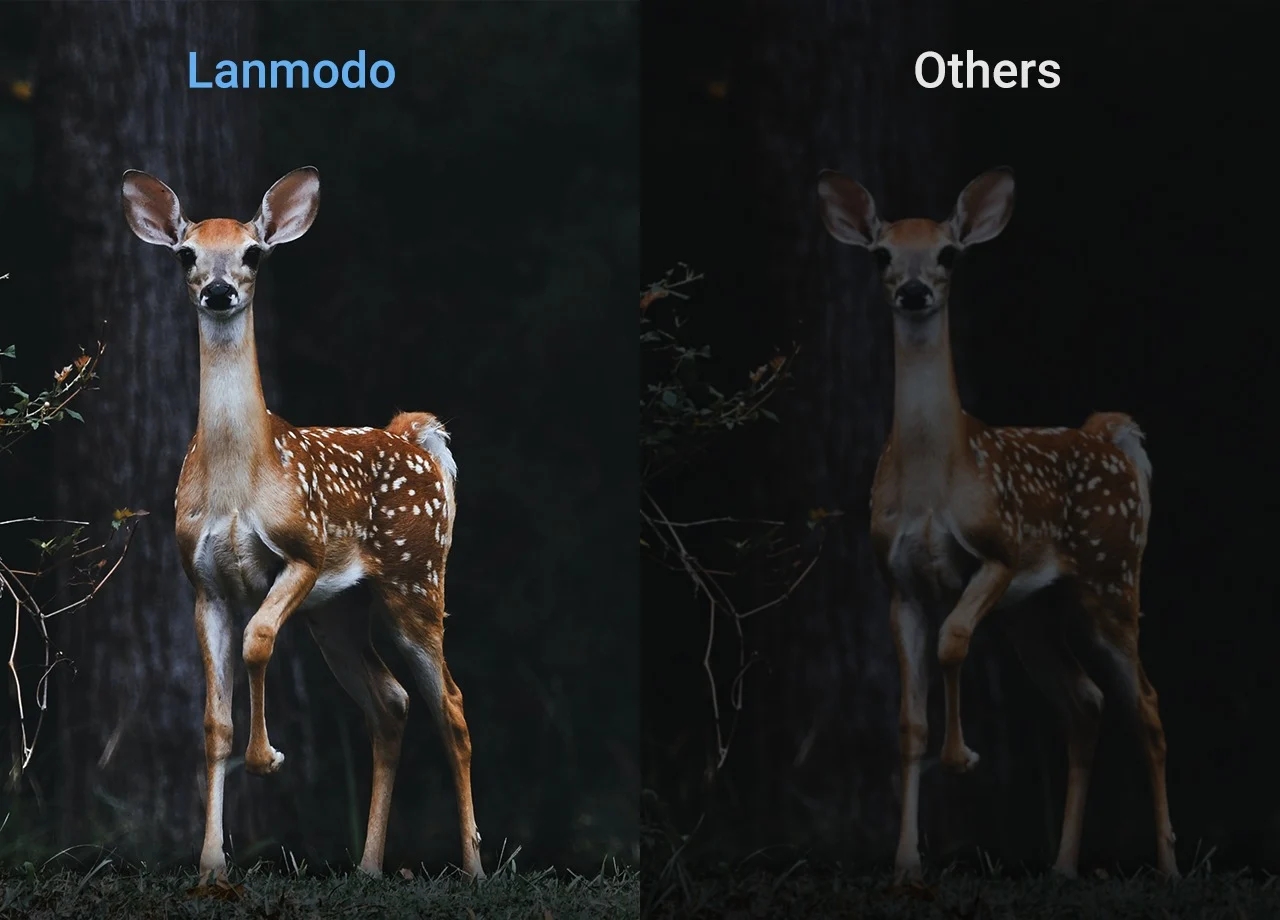 Wide area M1，Night vision system，auto parts，Car camera，