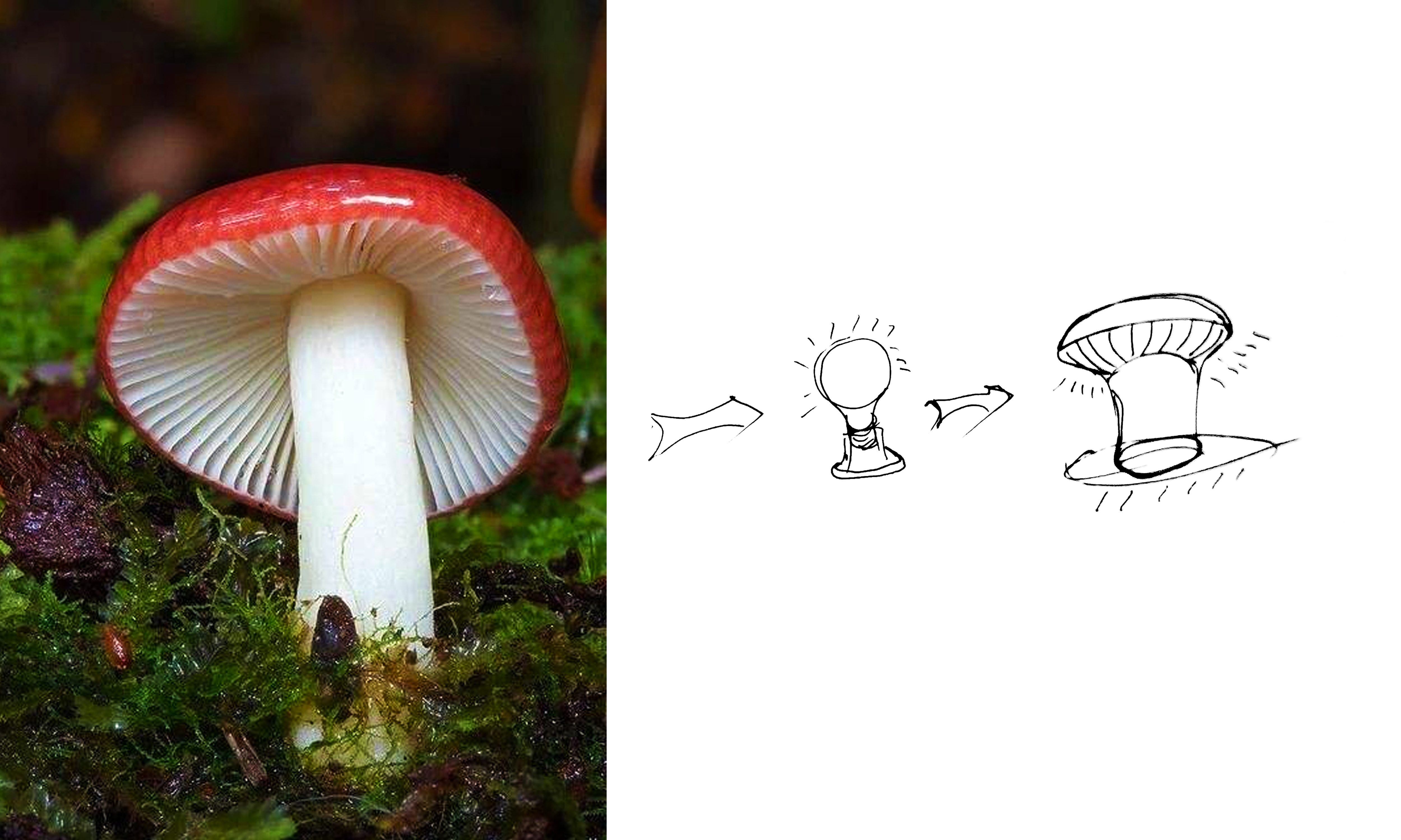 Home Furnishing，Household appliances，