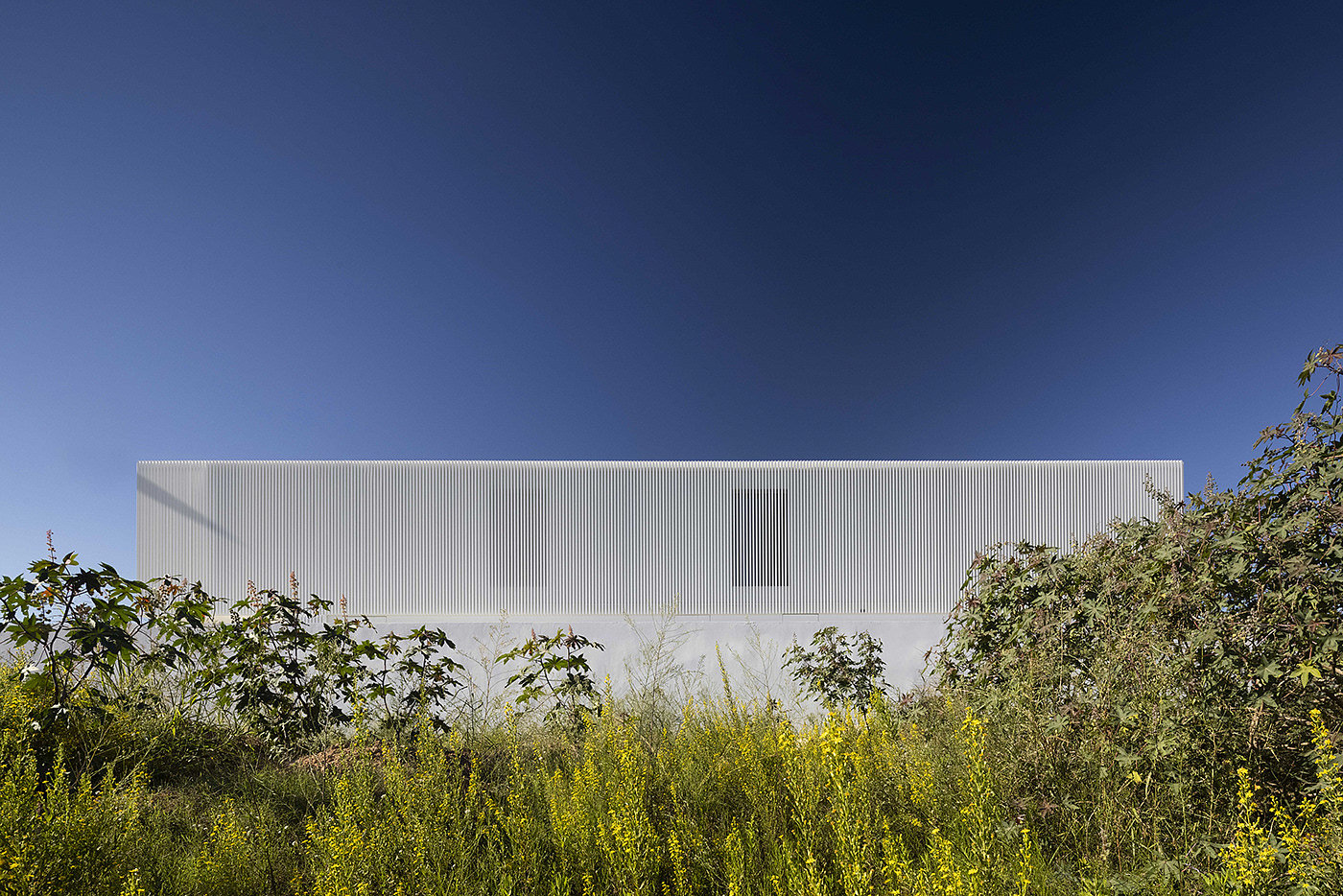 Piera House，Architectural design，Minimalist style，white，