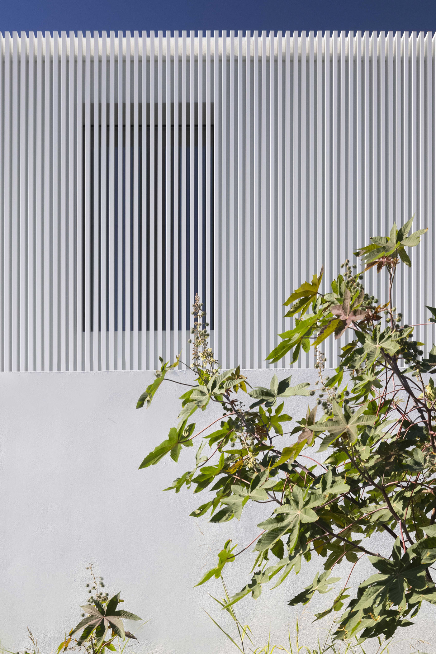 Piera House，Architectural design，Minimalist style，white，