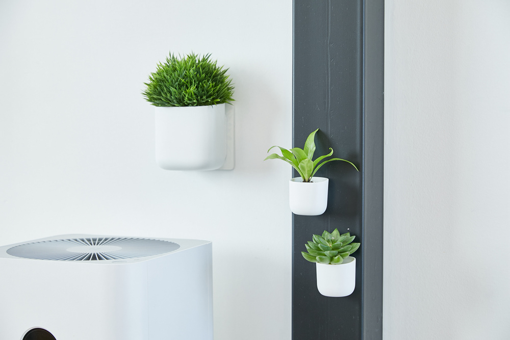 office，Botany，fashion，magnetic，