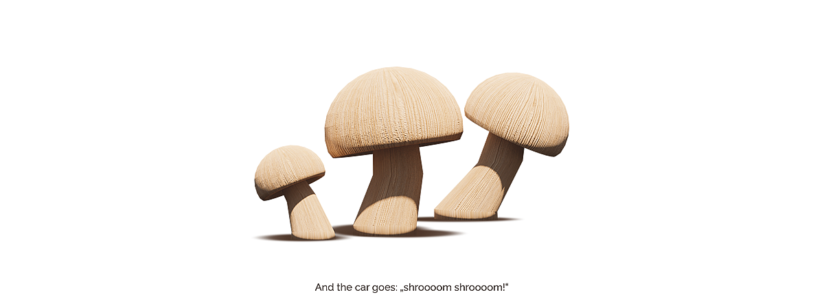 Casuarina equisetifolia，Christoph Sokol，Toys，
