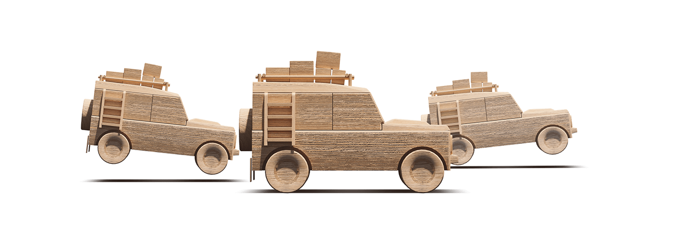 Casuarina equisetifolia，Christoph Sokol，Toys，