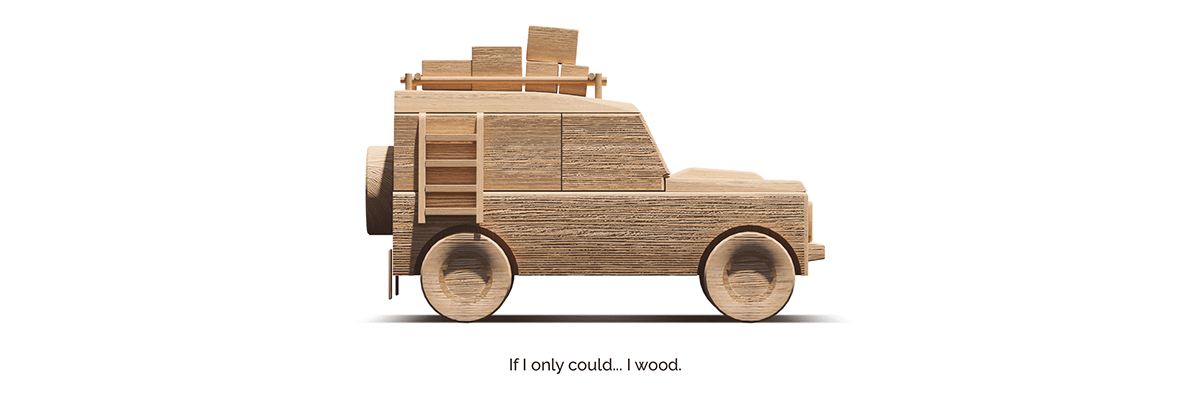 Casuarina equisetifolia，Christoph Sokol，Toys，