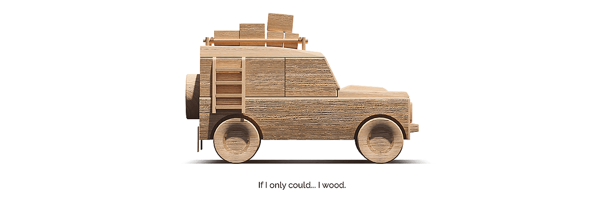 Casuarina equisetifolia，Christoph Sokol，Toys，