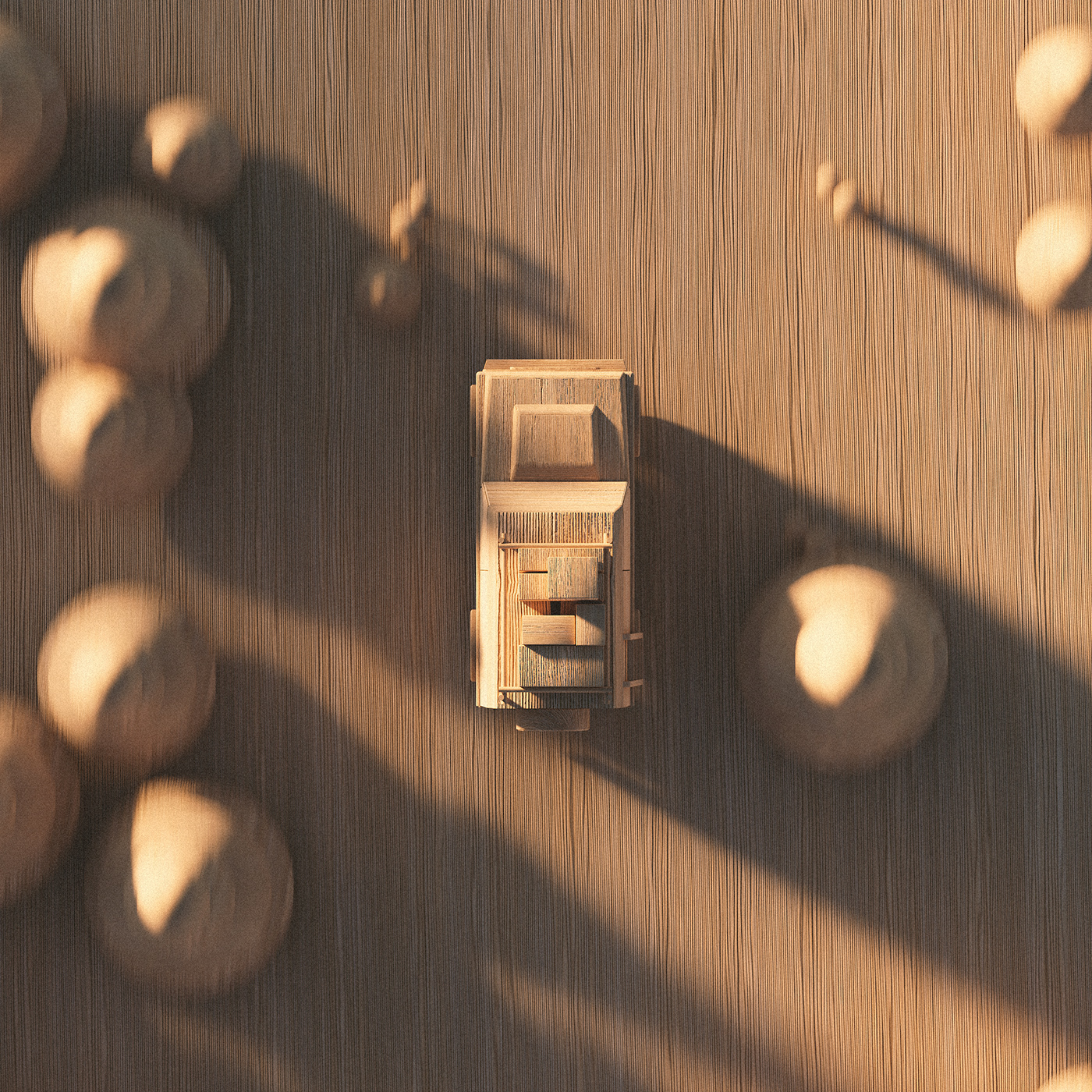 Casuarina equisetifolia，Christoph Sokol，Toys，