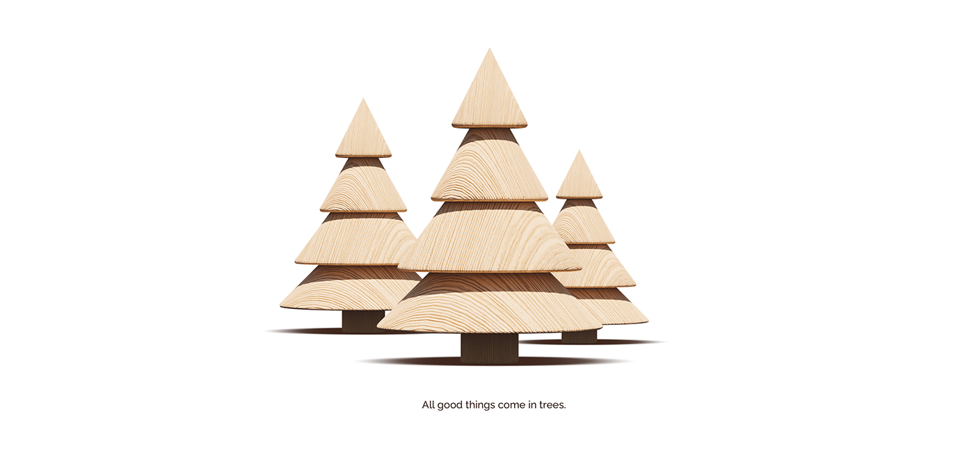 Casuarina equisetifolia，Christoph Sokol，Toys，