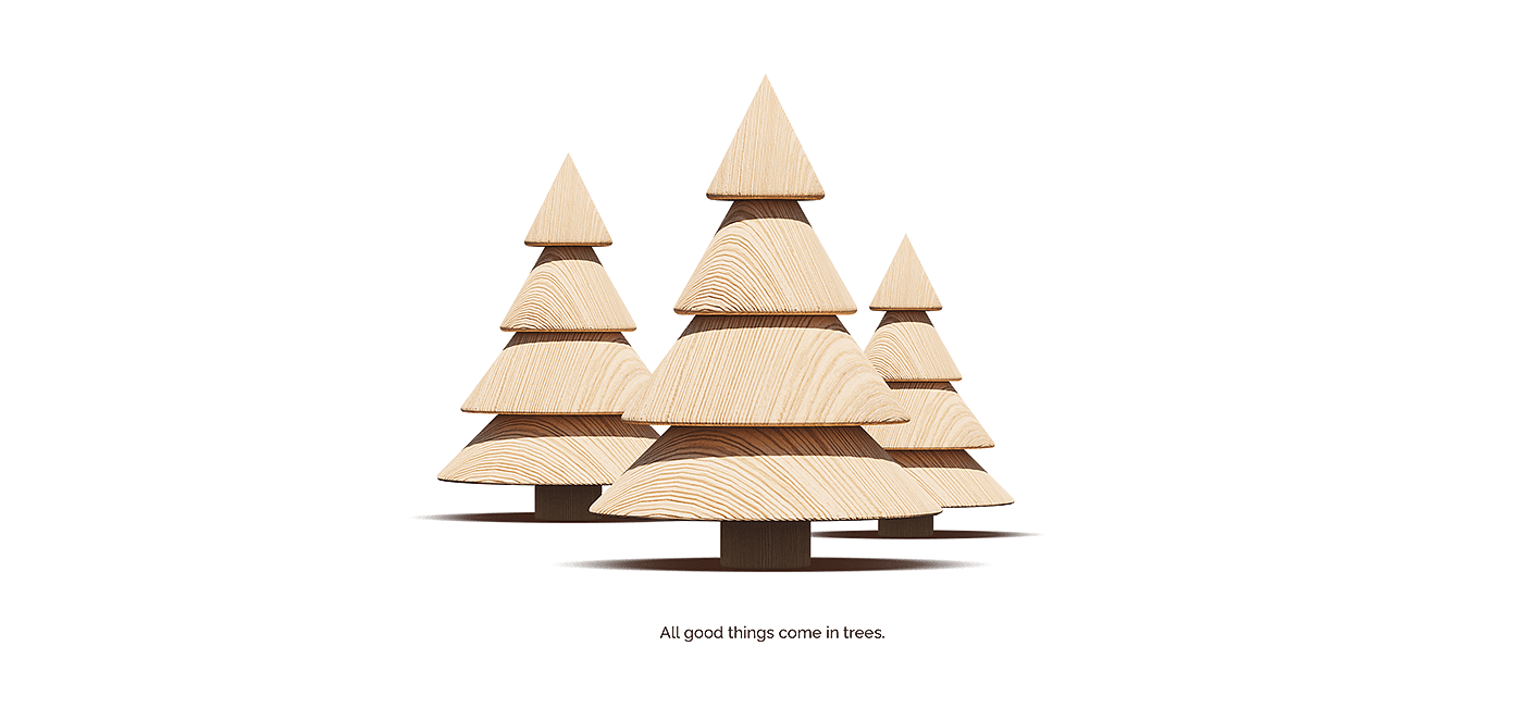 Casuarina equisetifolia，Christoph Sokol，Toys，