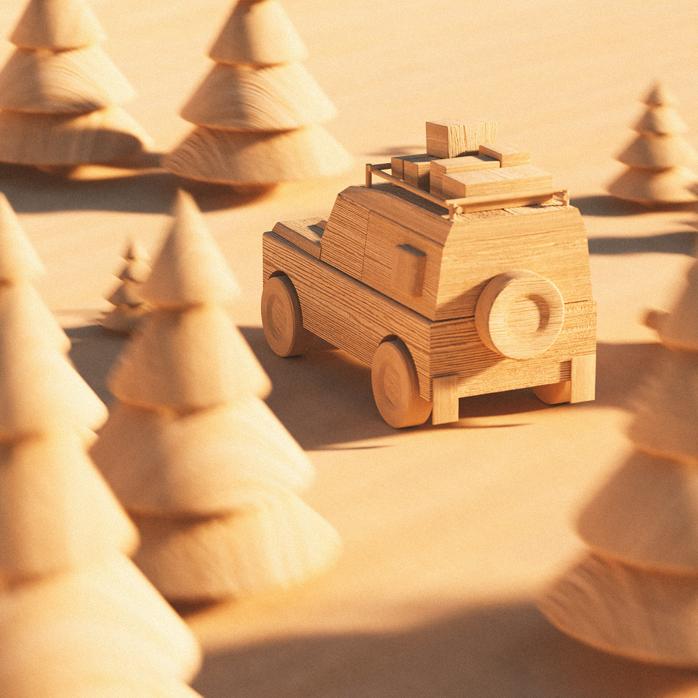 Casuarina equisetifolia，Christoph Sokol，Toys，