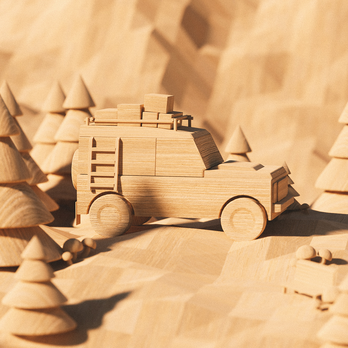 Casuarina equisetifolia，Christoph Sokol，Toys，