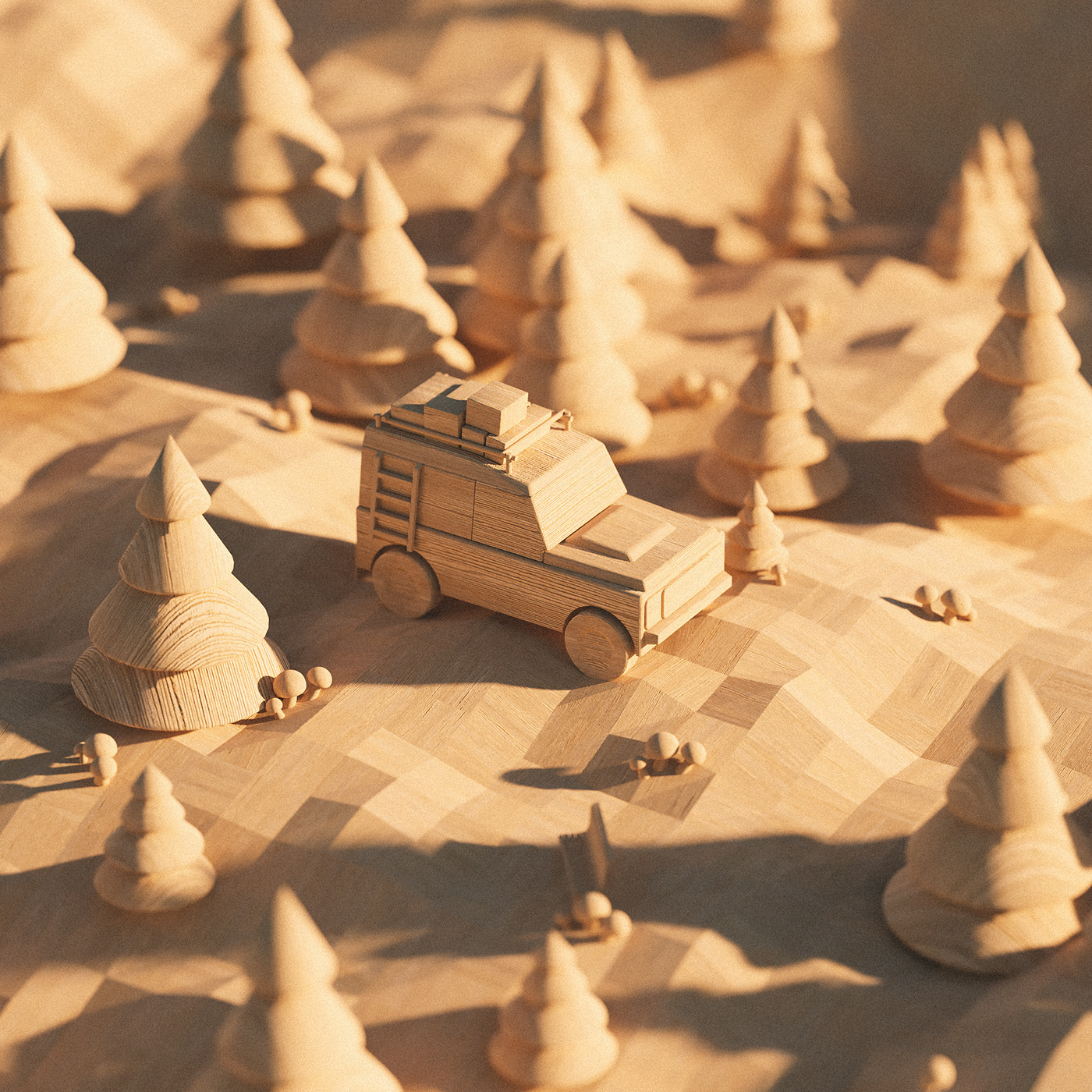 Casuarina equisetifolia，Christoph Sokol，Toys，