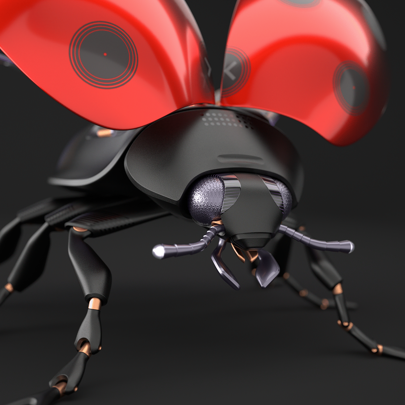 LADYBUG，Yuri Mo，