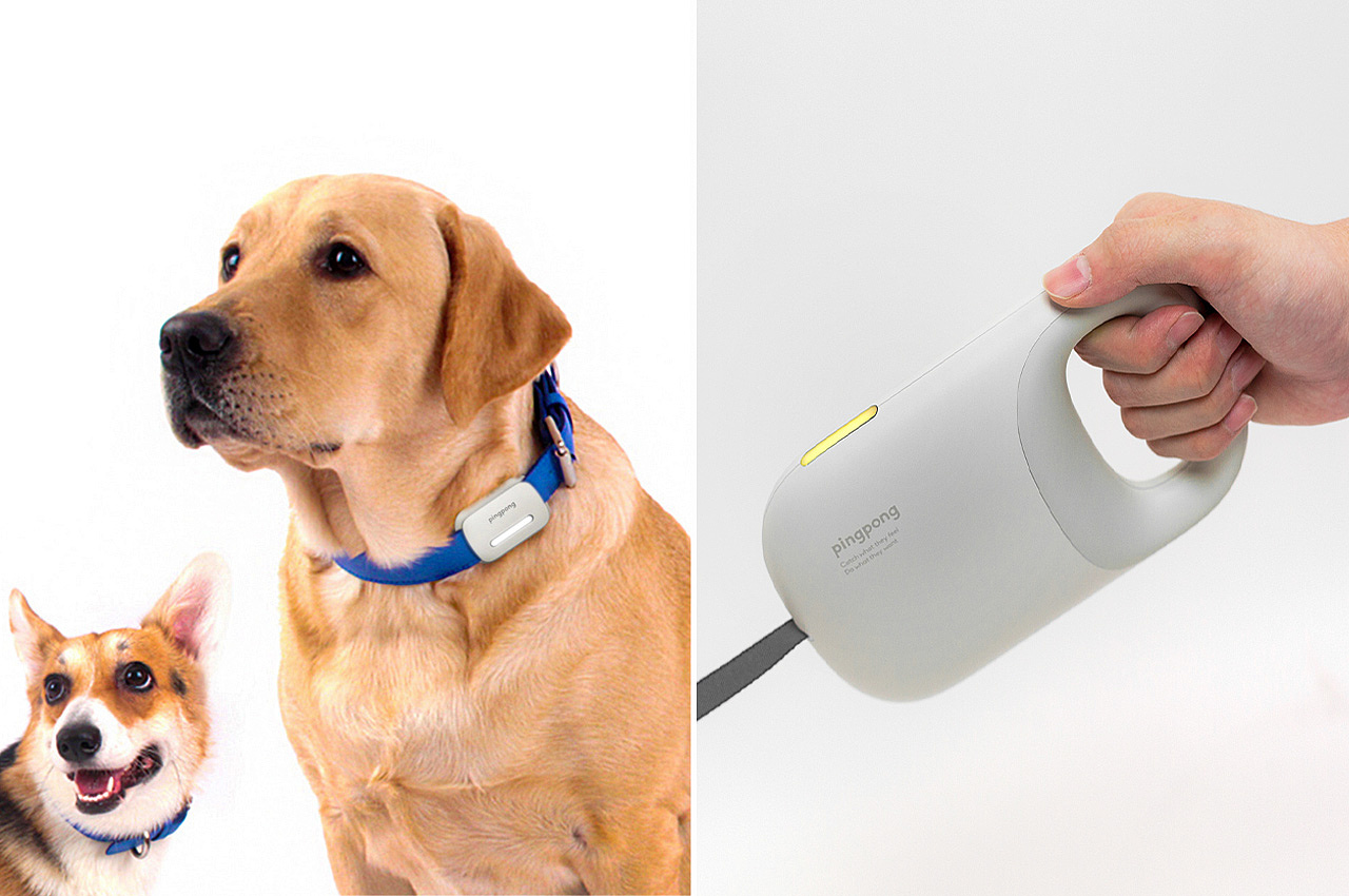 Pets，intelligence，product design，