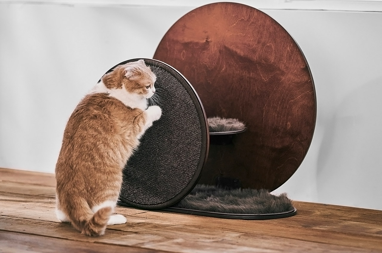 Pets，intelligence，product design，