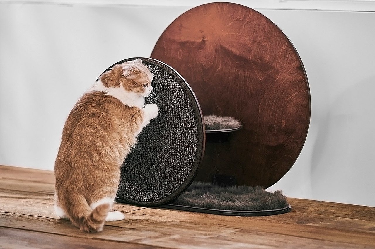 Pets，intelligence，product design，