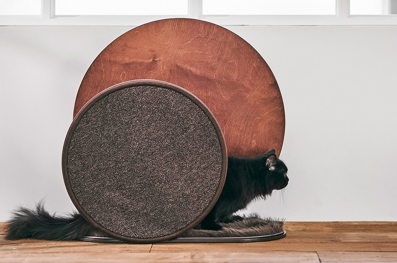 Pets，intelligence，product design，