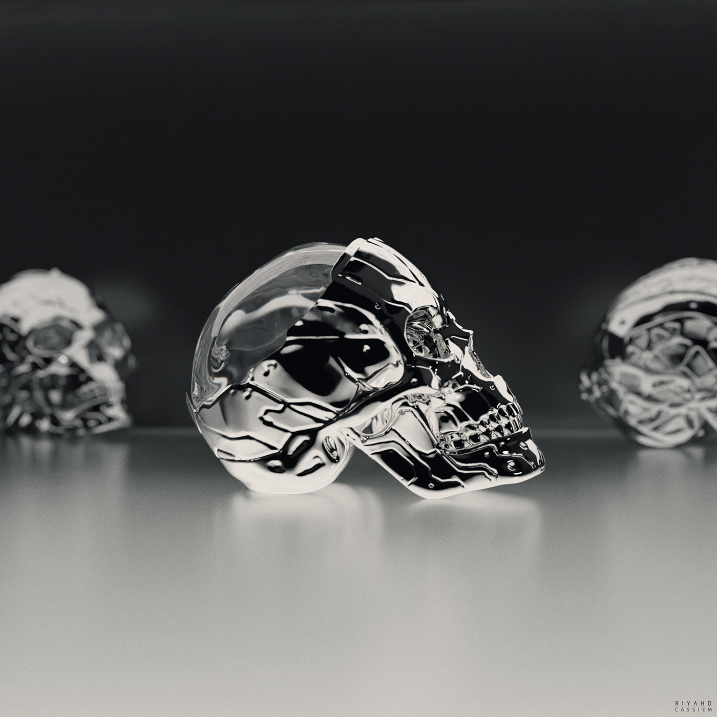 Exoskull，Riyahd Cassiem，human skeleton，