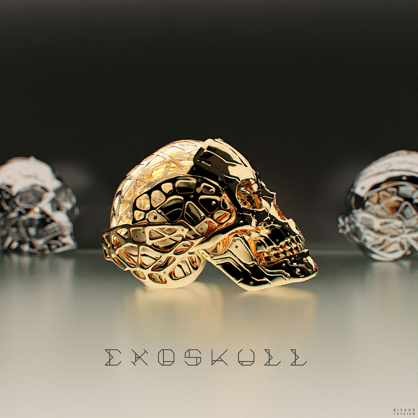 Exoskull，Riyahd Cassiem，human skeleton，
