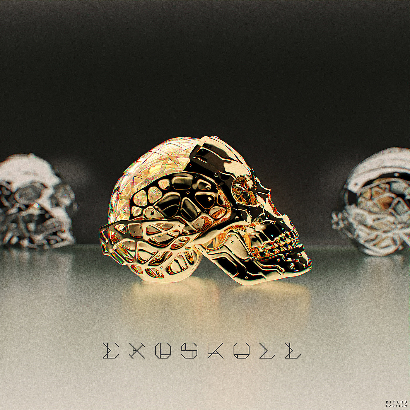 Exoskull，Riyahd Cassiem，human skeleton，