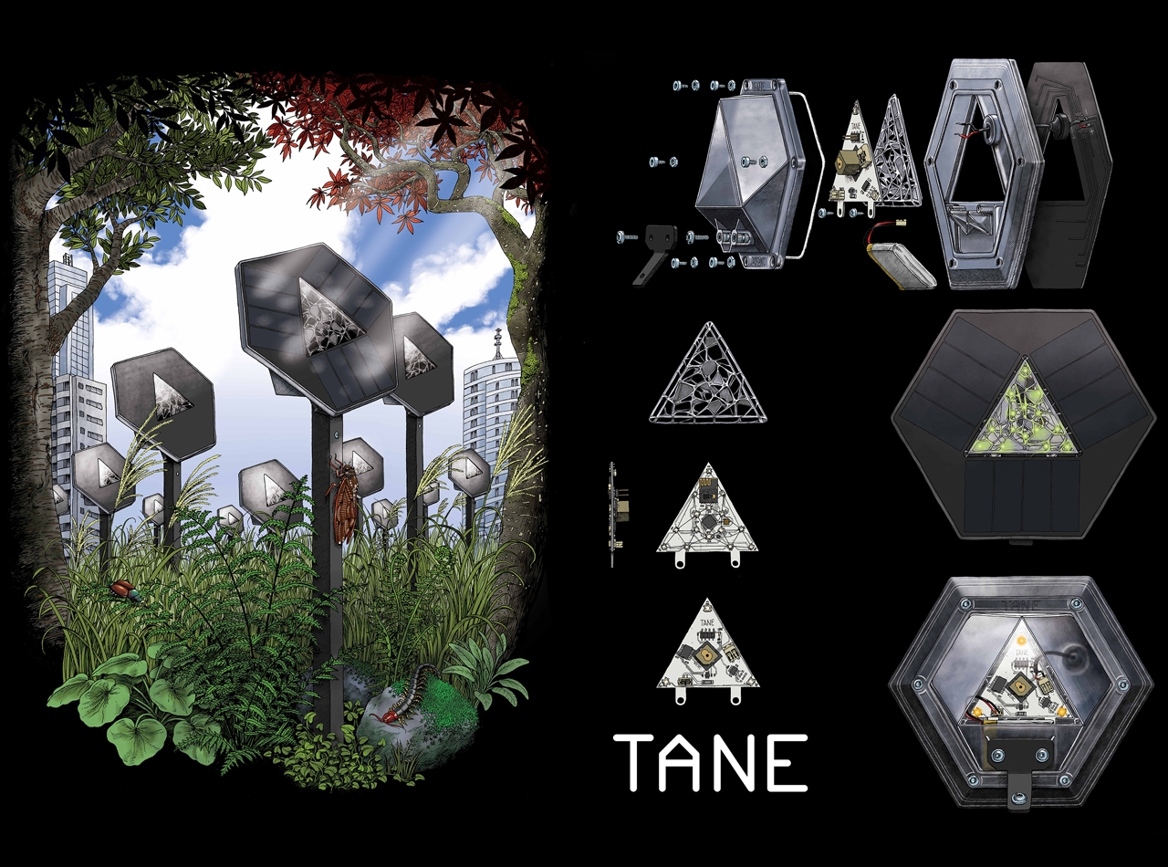 Werc Studio，Lighting，decorate，Tane，solar energy，LED light，