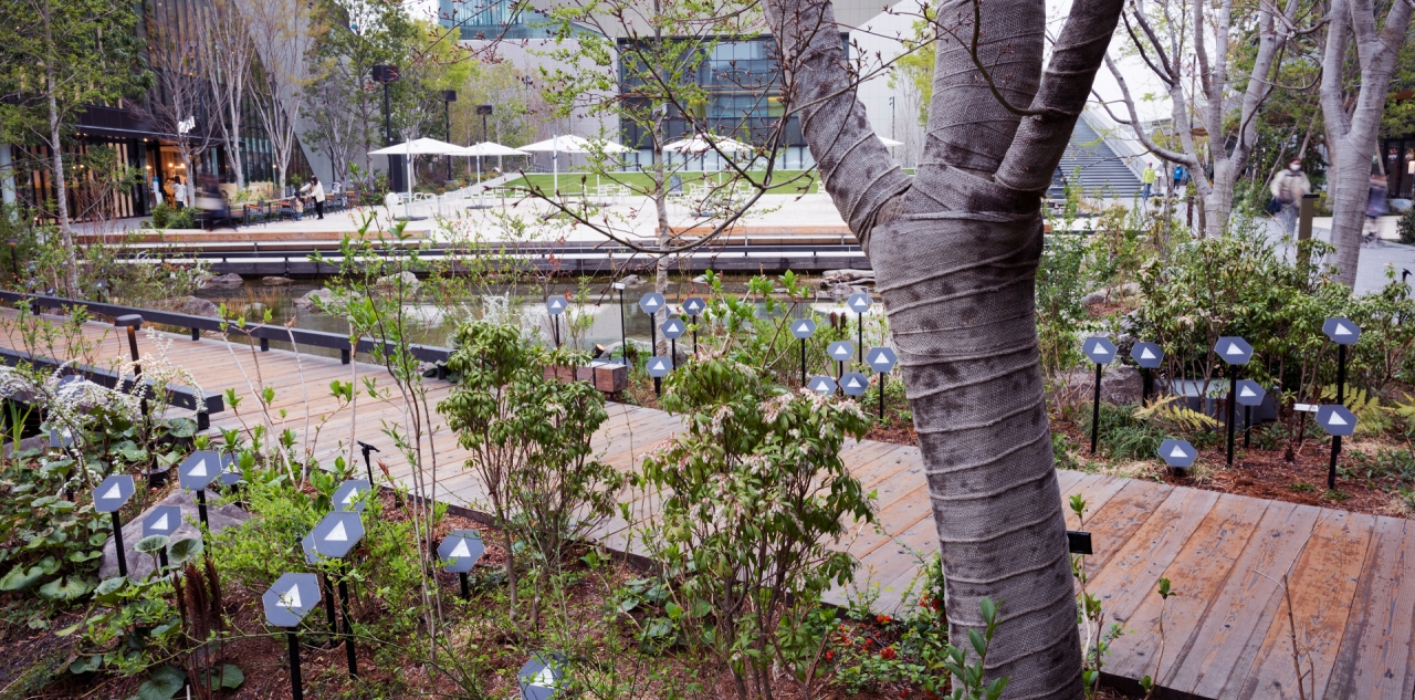 Werc Studio，Lighting，decorate，Tane，solar energy，LED light，