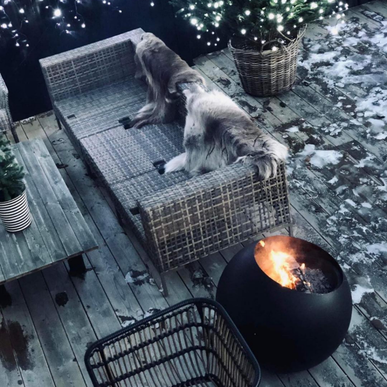 outdoors，burning，fire，warm oneself，furnace，