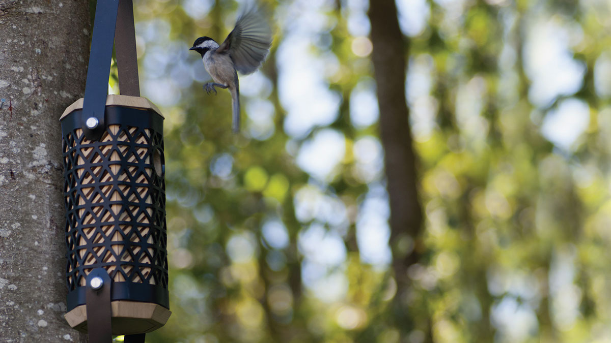 Bird's nest，Wildlife protection，product design，Creative bird house，