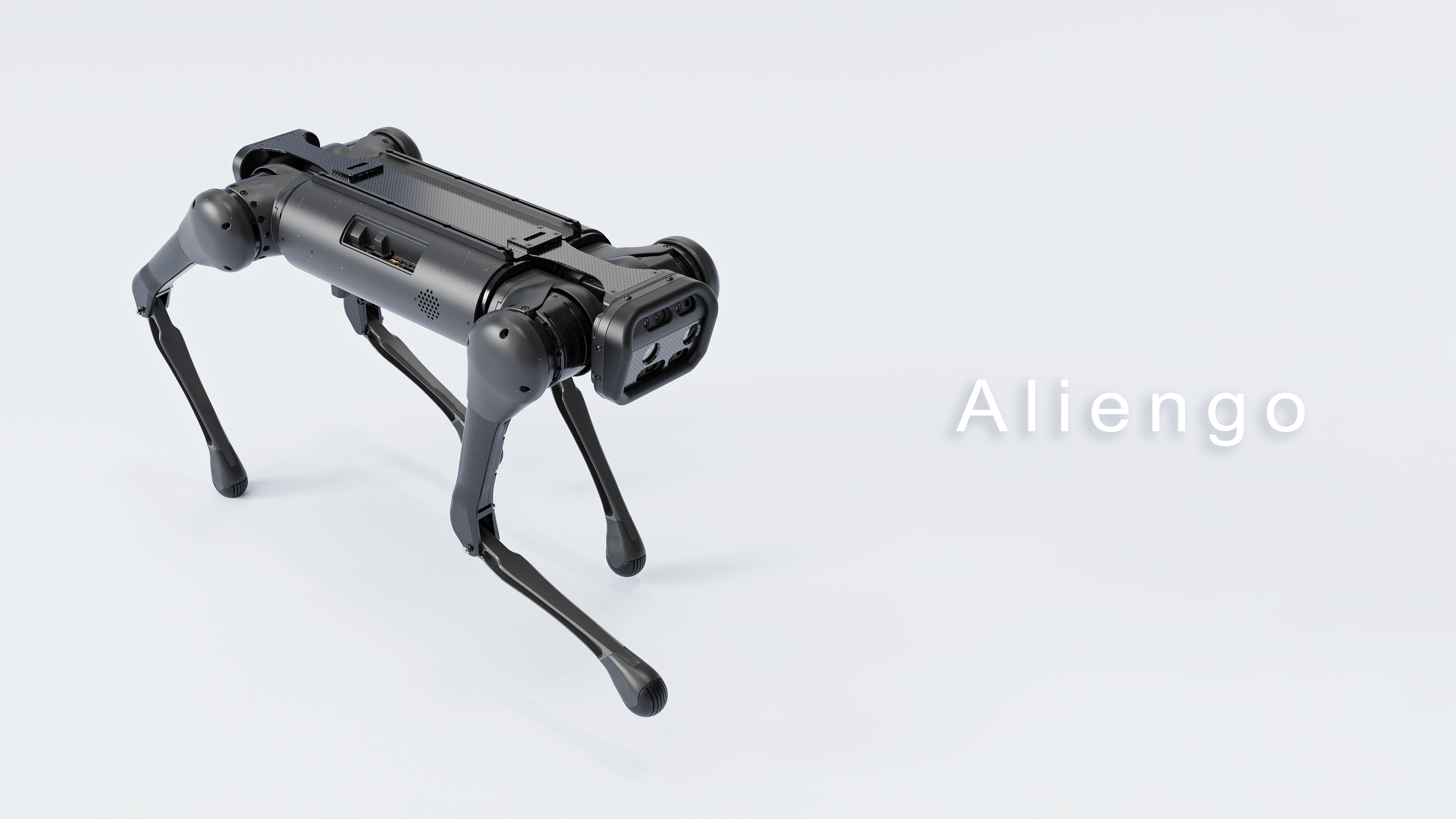 Robot dog，Boston Dynamic ，Winter Olympics，Hangzhou，