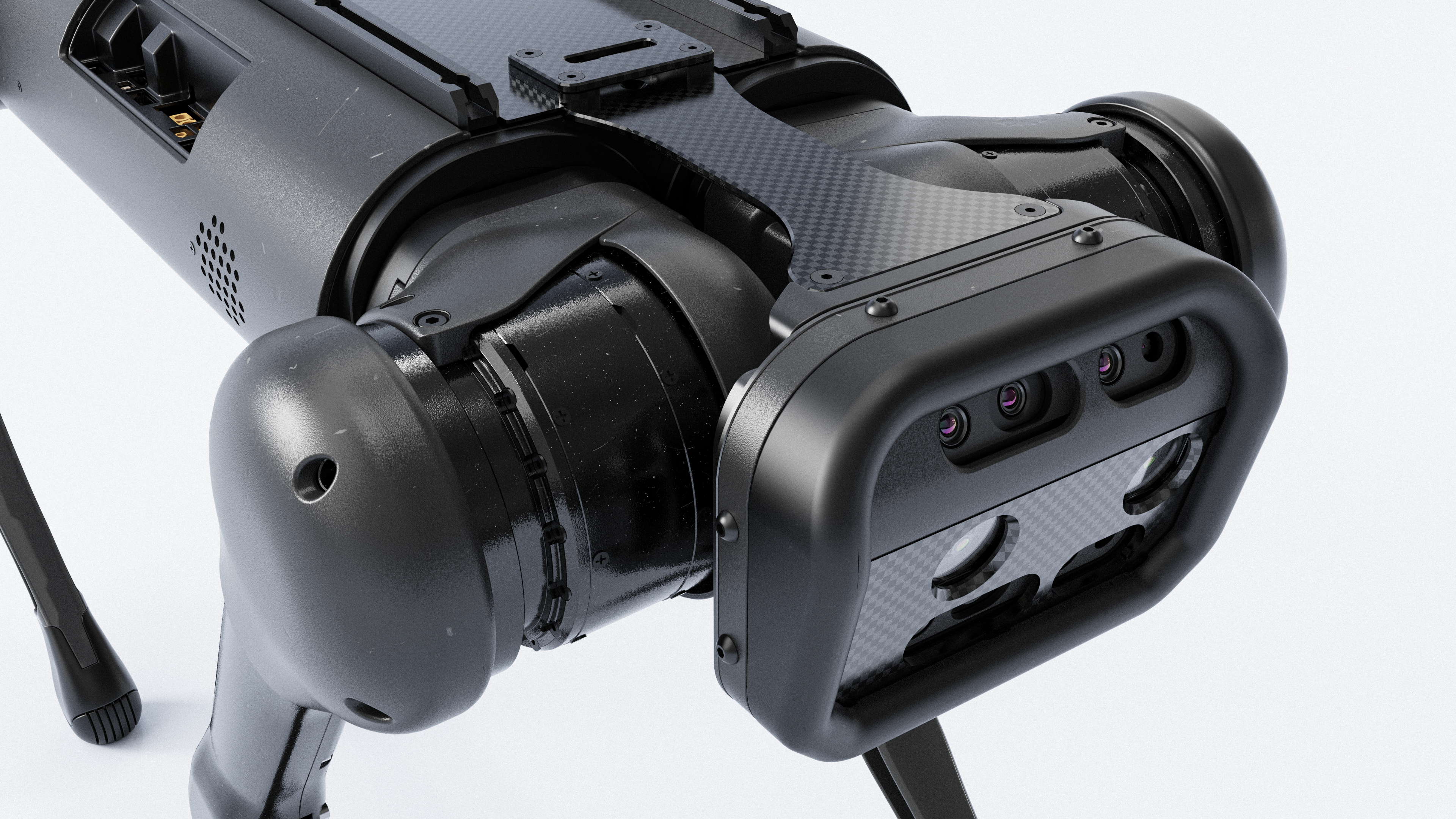 Robot dog，Boston Dynamic ，Winter Olympics，Hangzhou，