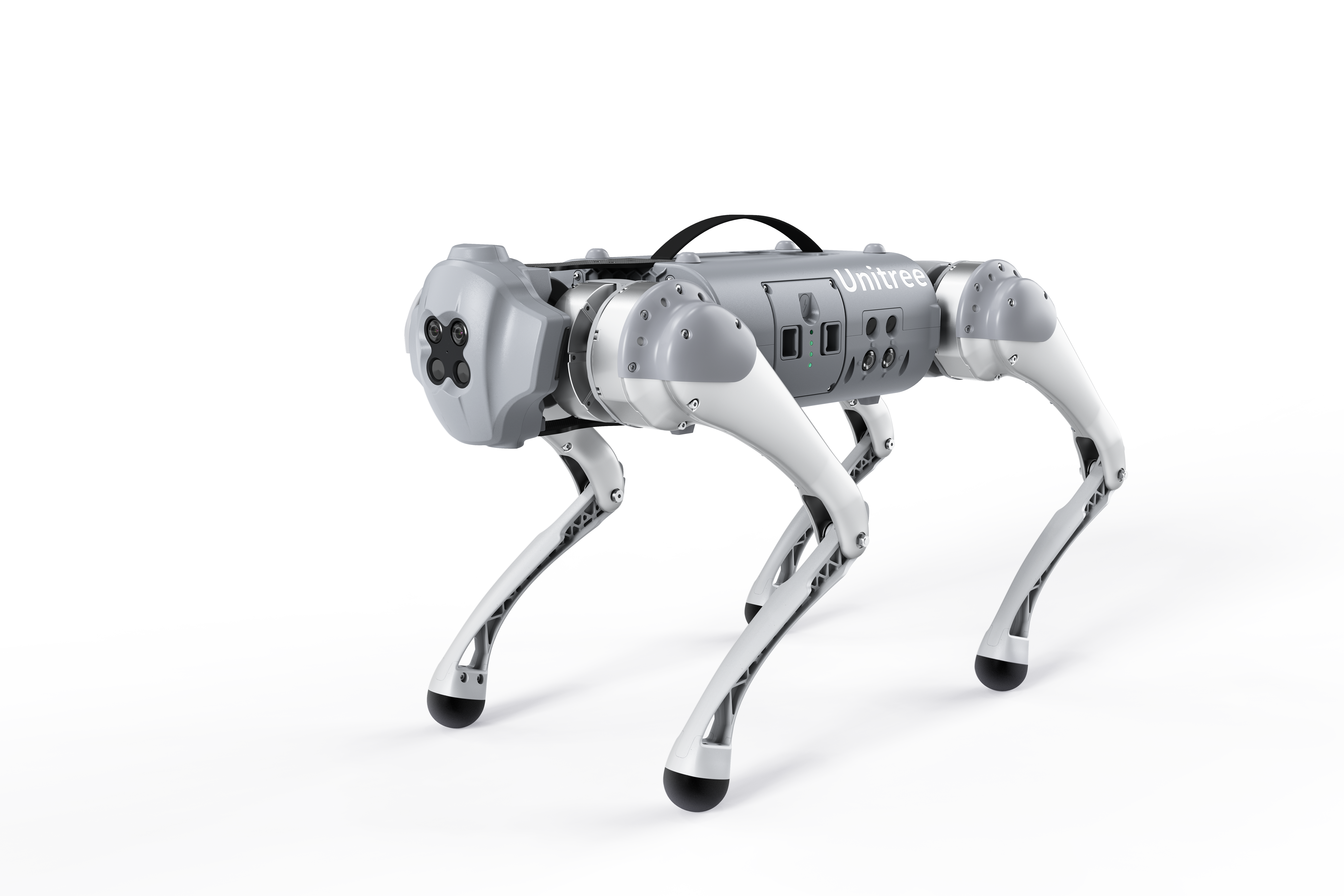 Robot dog，Boston Dynamic ，Winter Olympics，Hangzhou，