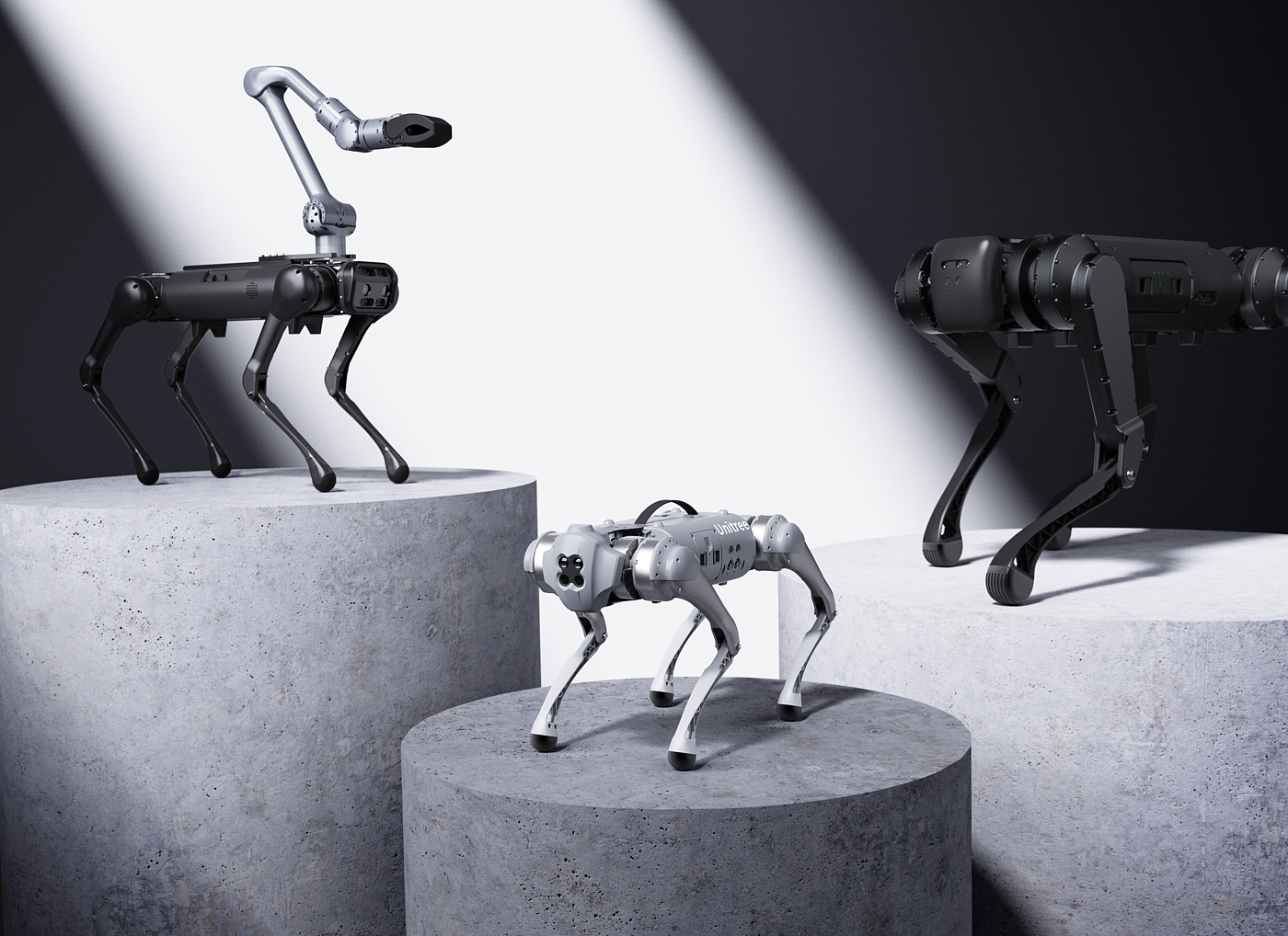 Robot dog，Boston Dynamic ，Winter Olympics，Hangzhou，